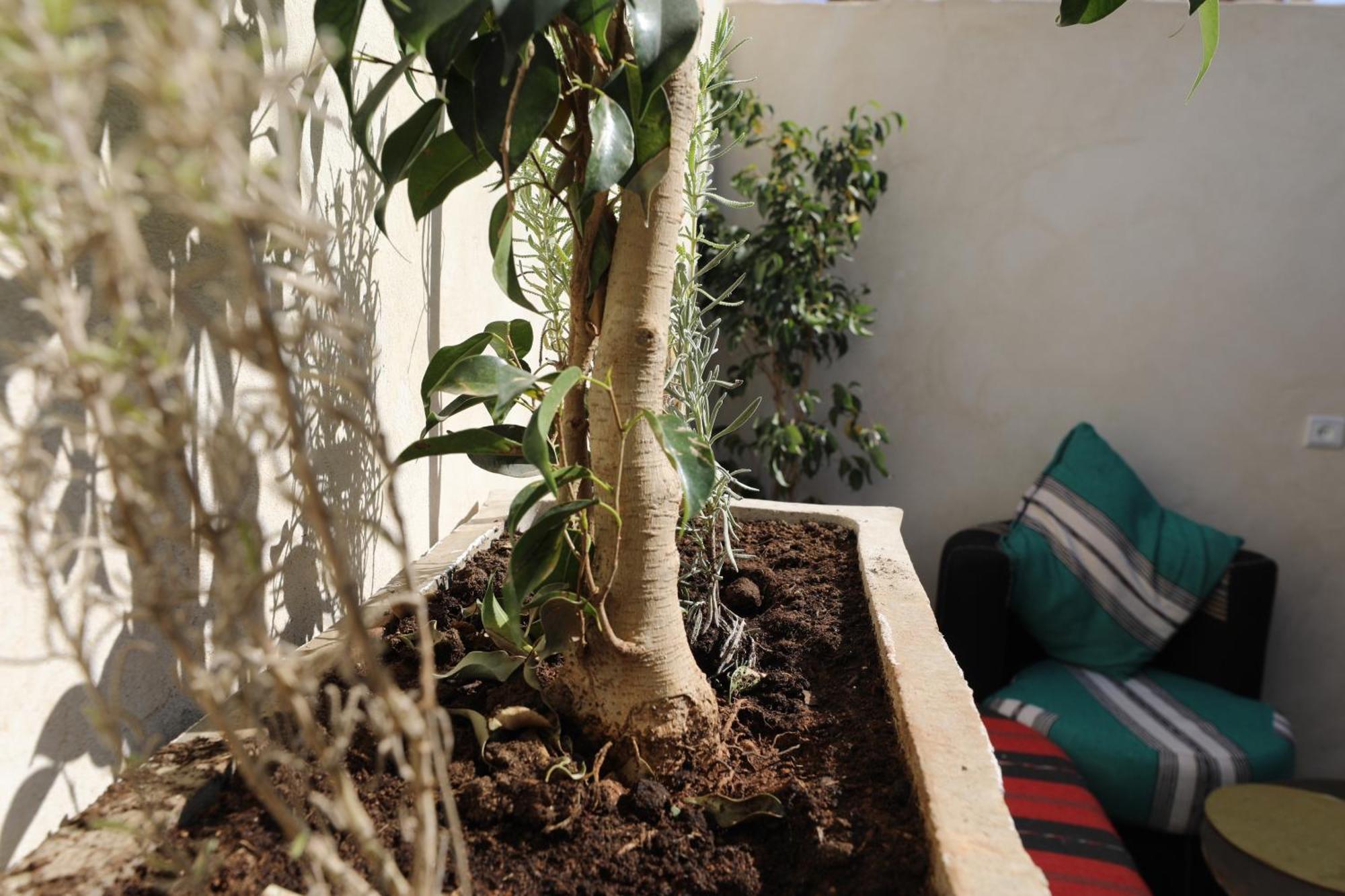 Marrakech 公寓 马拉喀什